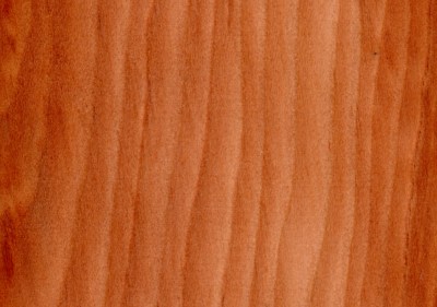 древесина лиственницы для строительства деревянного дома